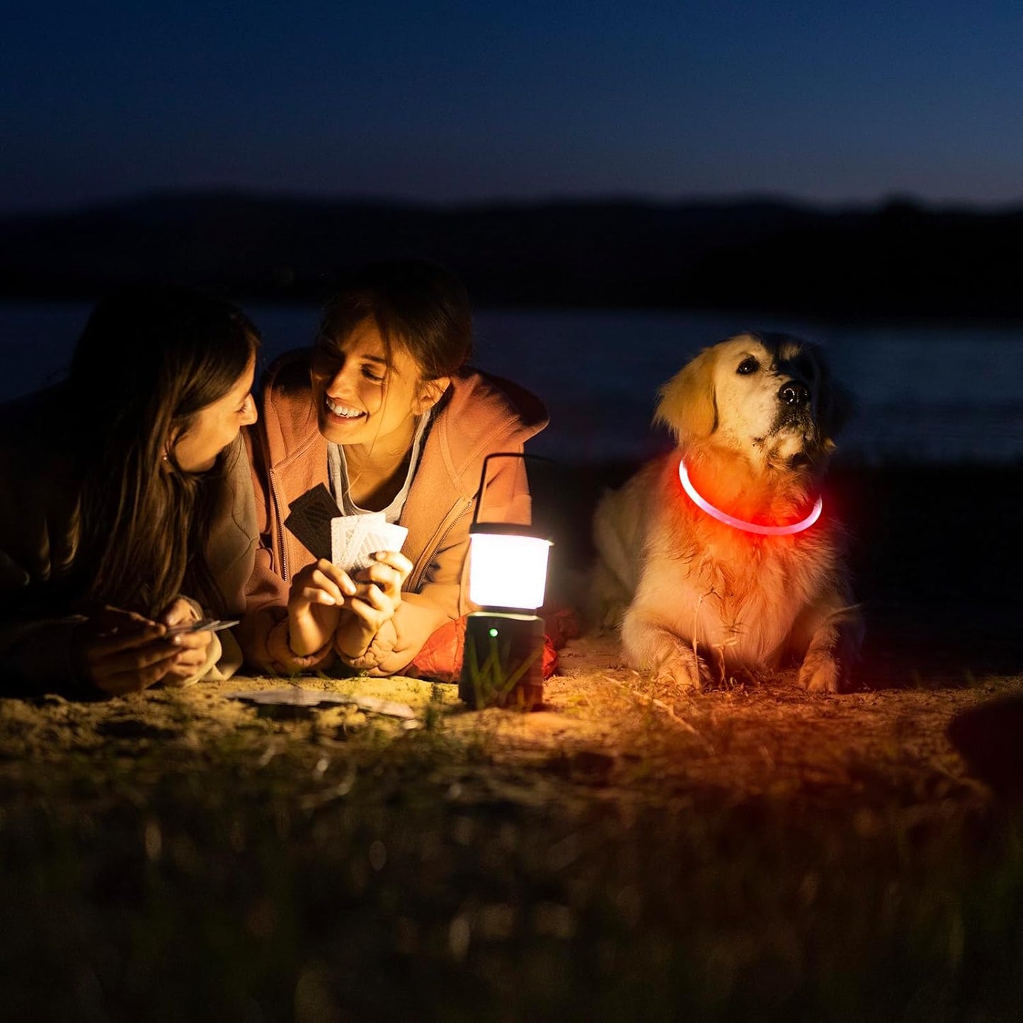 Illuminate Your Dog's Night Walks with Our USB Rechargeable LED Dog Collar Light - Customizable & Stylish in Red!