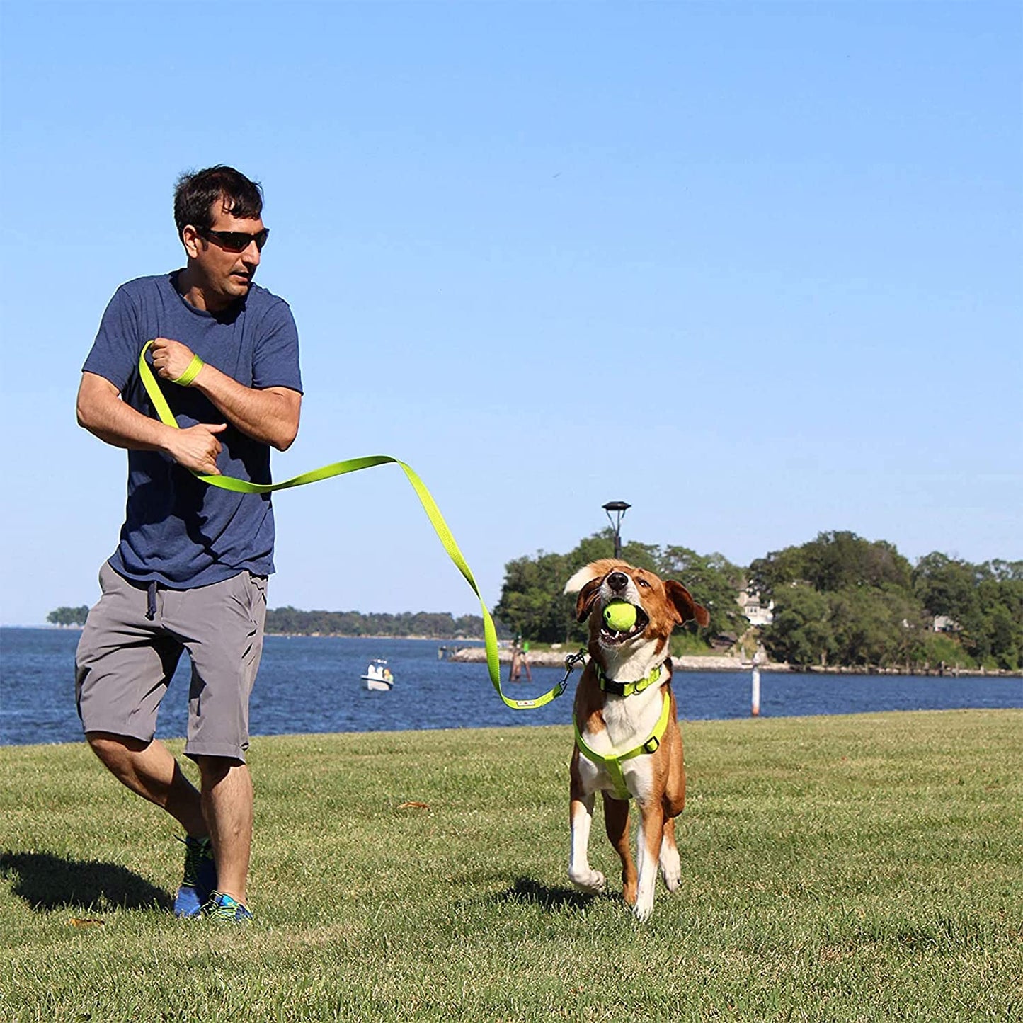 Heavy Duty Adjustable Dog Collar for Large Breeds - Waterproof Lush Green with Quick-Release Buckle