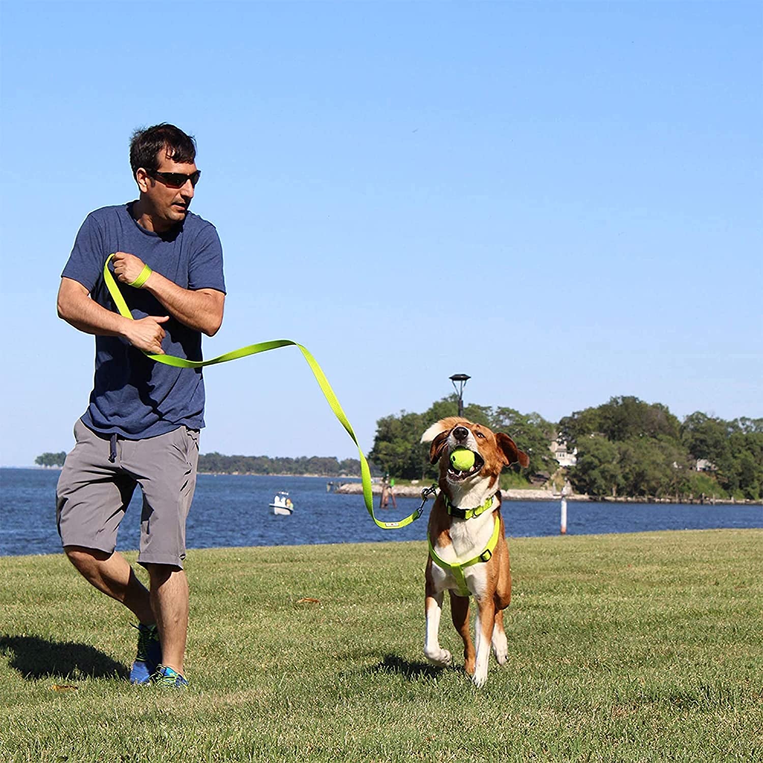 Heavy Duty Adjustable Dog Collar for Large Breeds - Waterproof Lush Green with Quick-Release Buckle