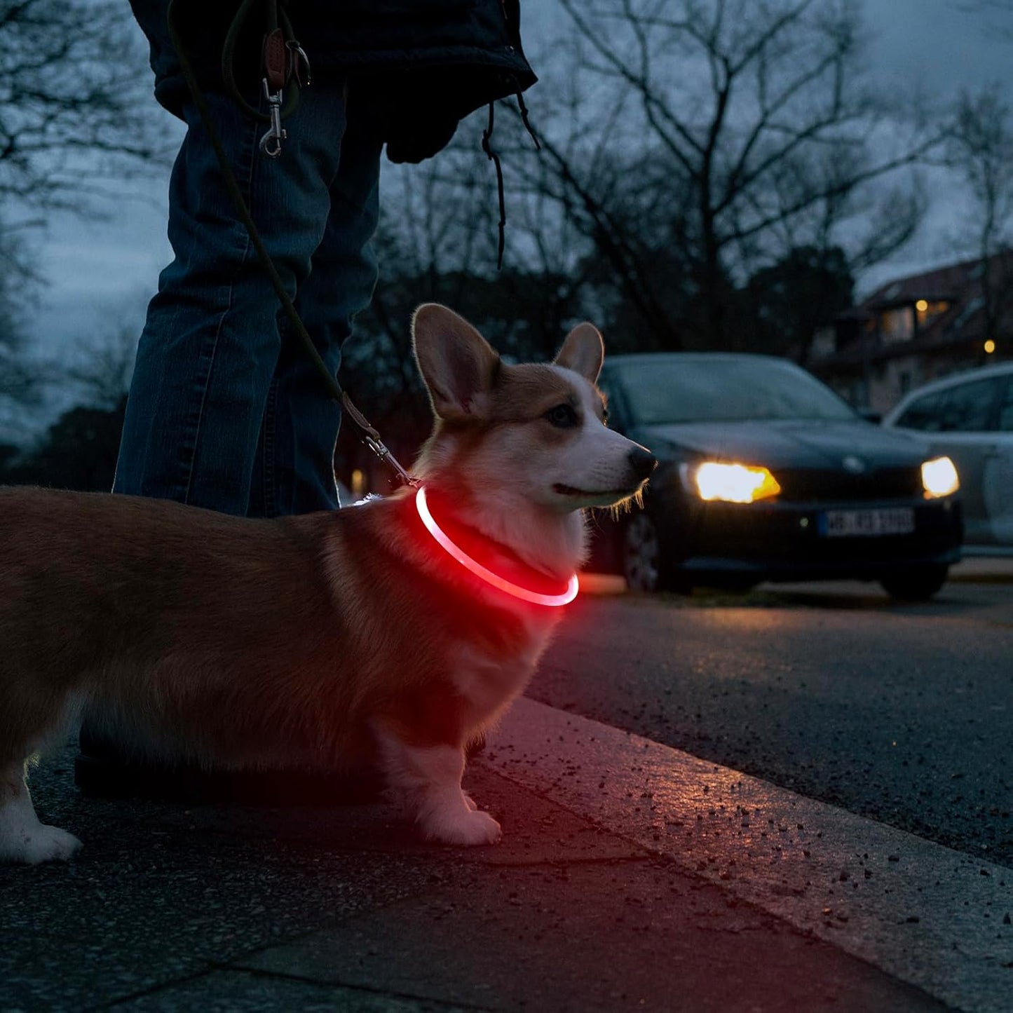Illuminate Your Dog's Night Walks with Our USB Rechargeable LED Dog Collar Light - Customizable & Stylish in Red!