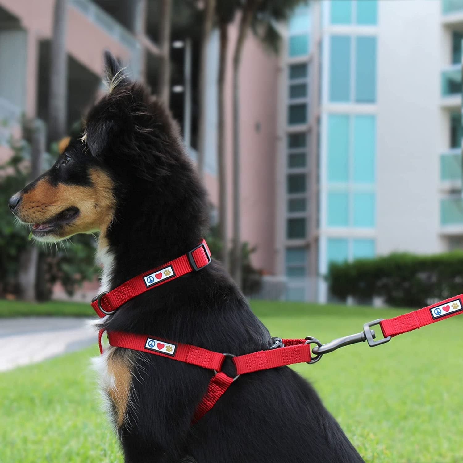 Heavy Duty Adjustable Dog Collar for Large Breeds - Waterproof Lush Green with Quick-Release Buckle